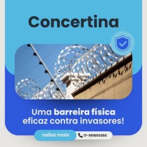 Leia mais sobre o artigo Concertina: Tudo o Que Você Precisa Saber